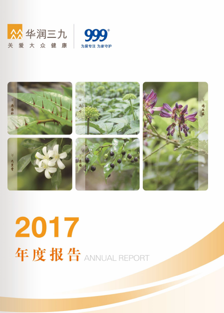 尊龙时凯：2017年年度报告